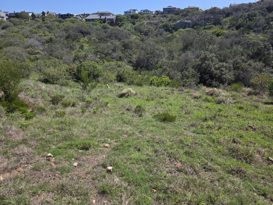 0 Bedroom Property for Sale in Dana Bay Western Cape